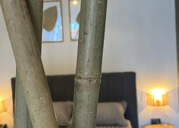 Апартаменты Queen, Saint Vlas, улица черно море 12